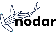 NODAR logo