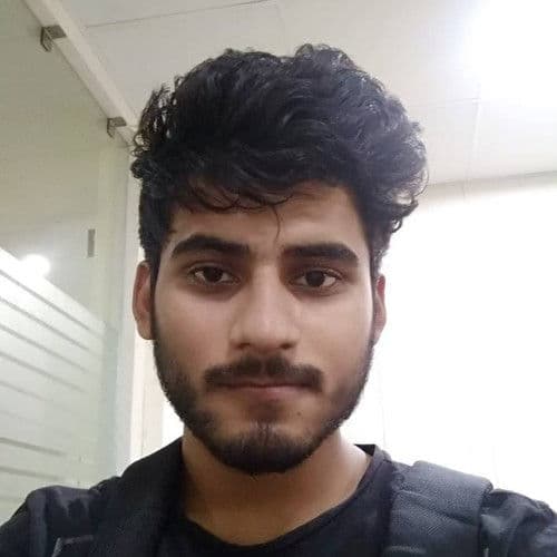 Alok Mani