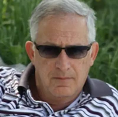 Avi Domoshevizki