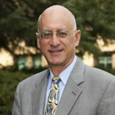 Dan Pitt