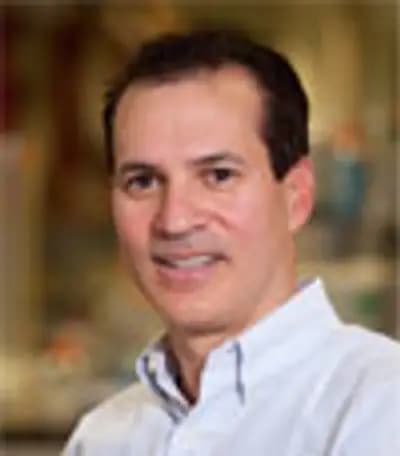 David A. Fogel