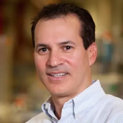 David Fogel