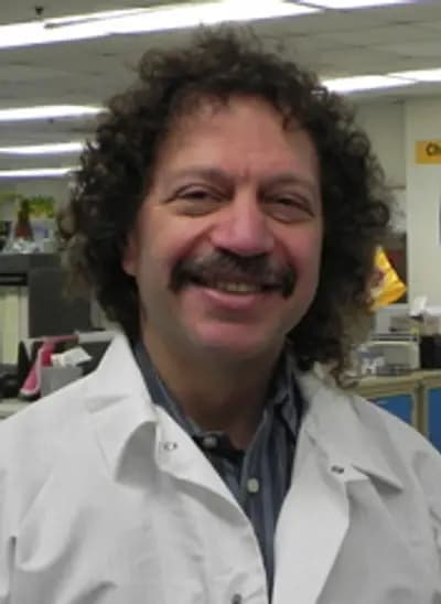 David Sacks