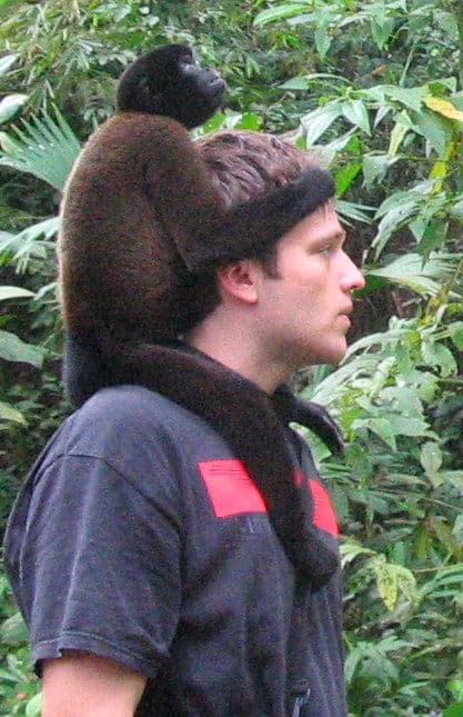 Jonathan Hendler