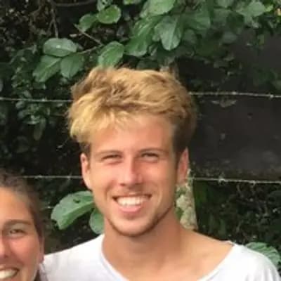 Matt Wills