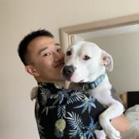 Michael Zhao