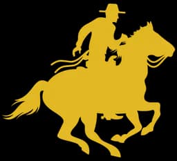 Access Venture Partners logo