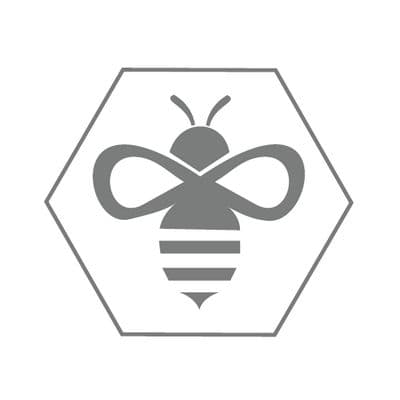 Apis Partners logo