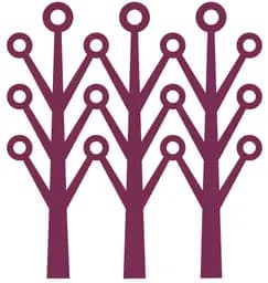 Asia Principal Capital logo