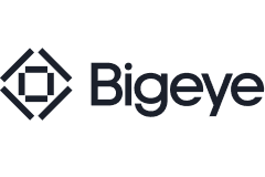 Bigeye logo