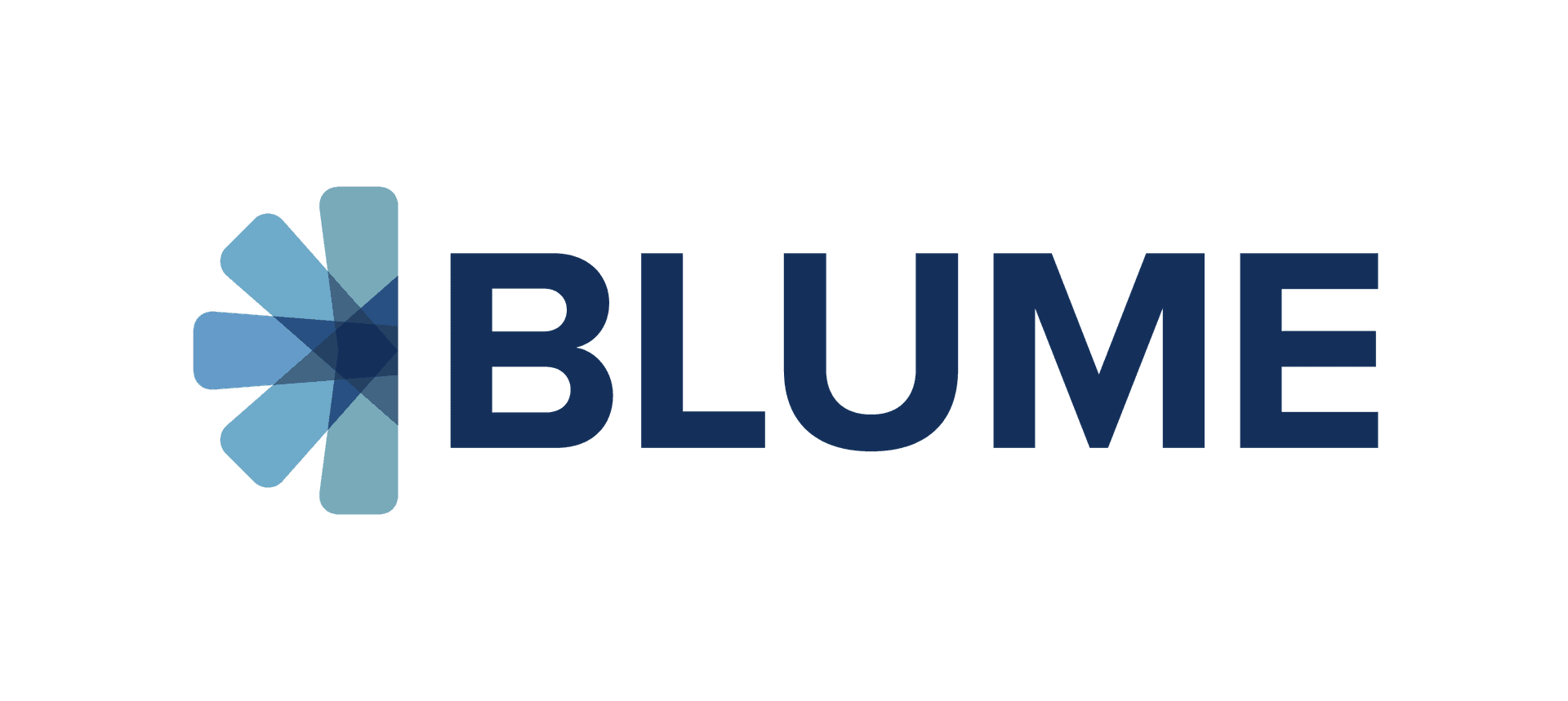 Blume Ventures logo