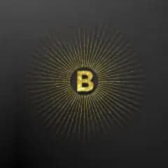 Brilliant Ventures logo