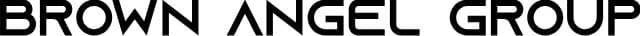 Brown Angel Group logo
