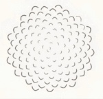 Conifer logo