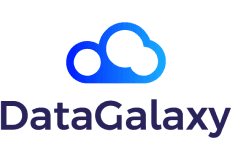 DataGalaxy logo