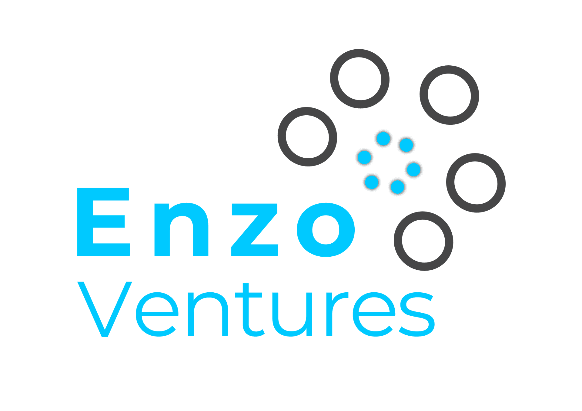 Enzo Ventures logo