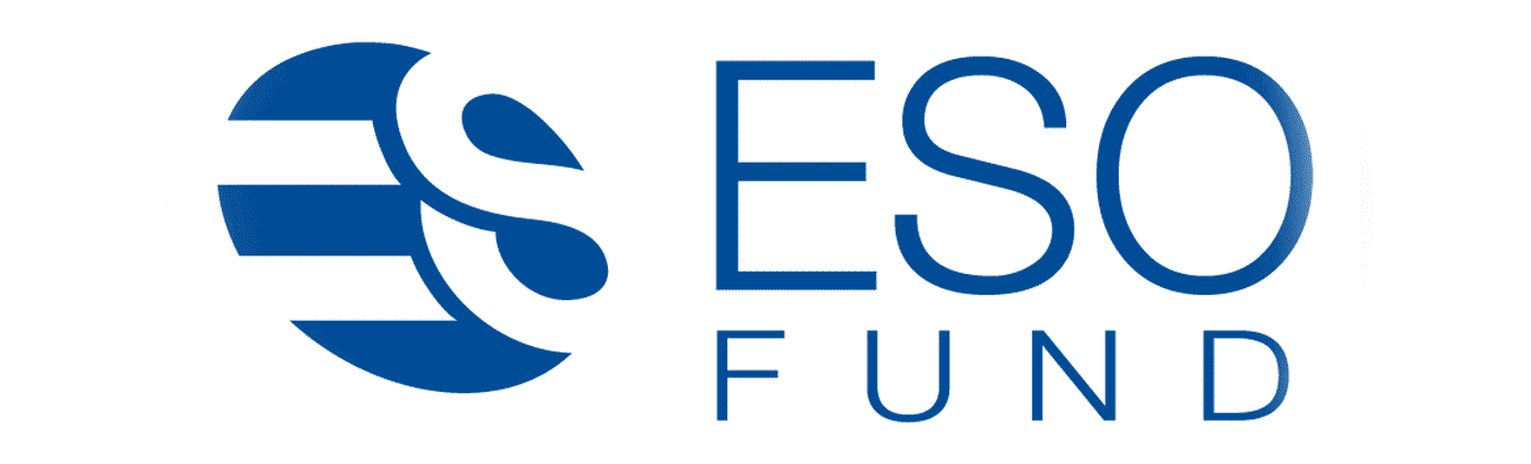 Employee Stock Option Fund logo