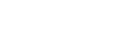 Netic logo
