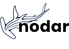 NODAR logo