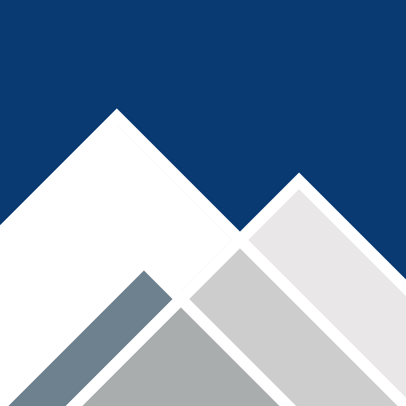 Peak State Ventures logo