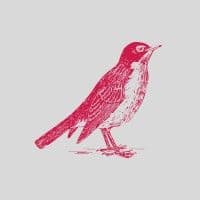 Robin Capital logo