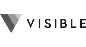Visible.VC logo