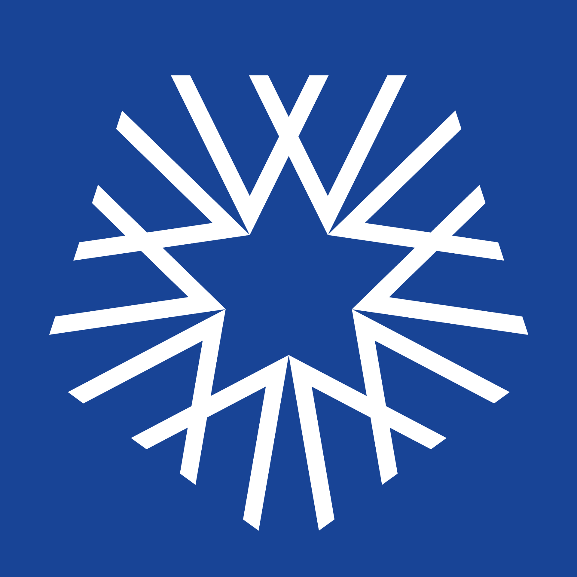 White Star Capital logo