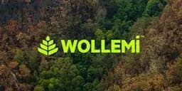 Wollemi logo