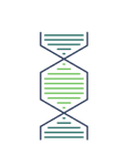 Yemaachi Biotechnology logo