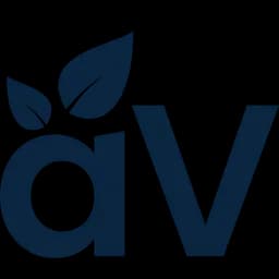 aVenture logo