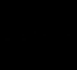 EverHaüs logo