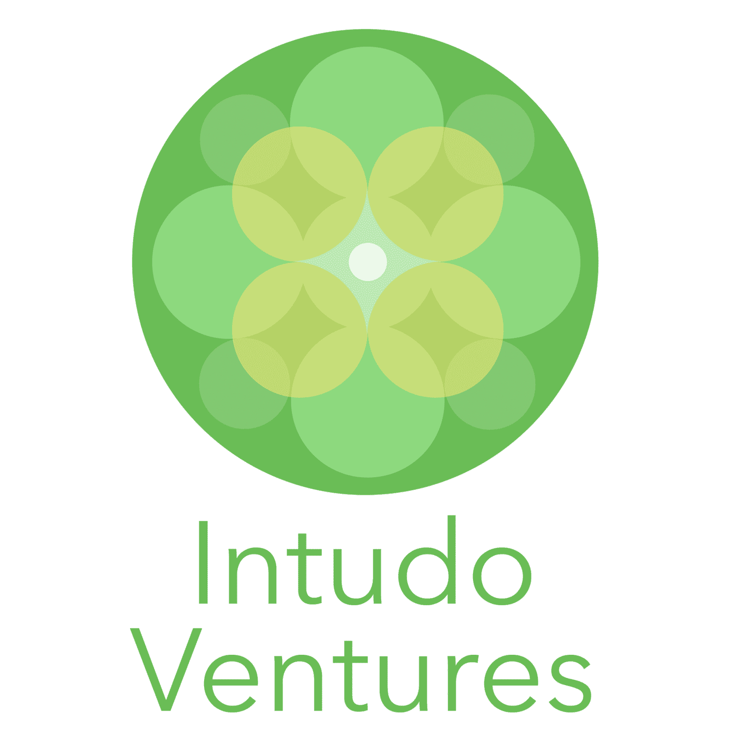 Intudo Ventures logo
