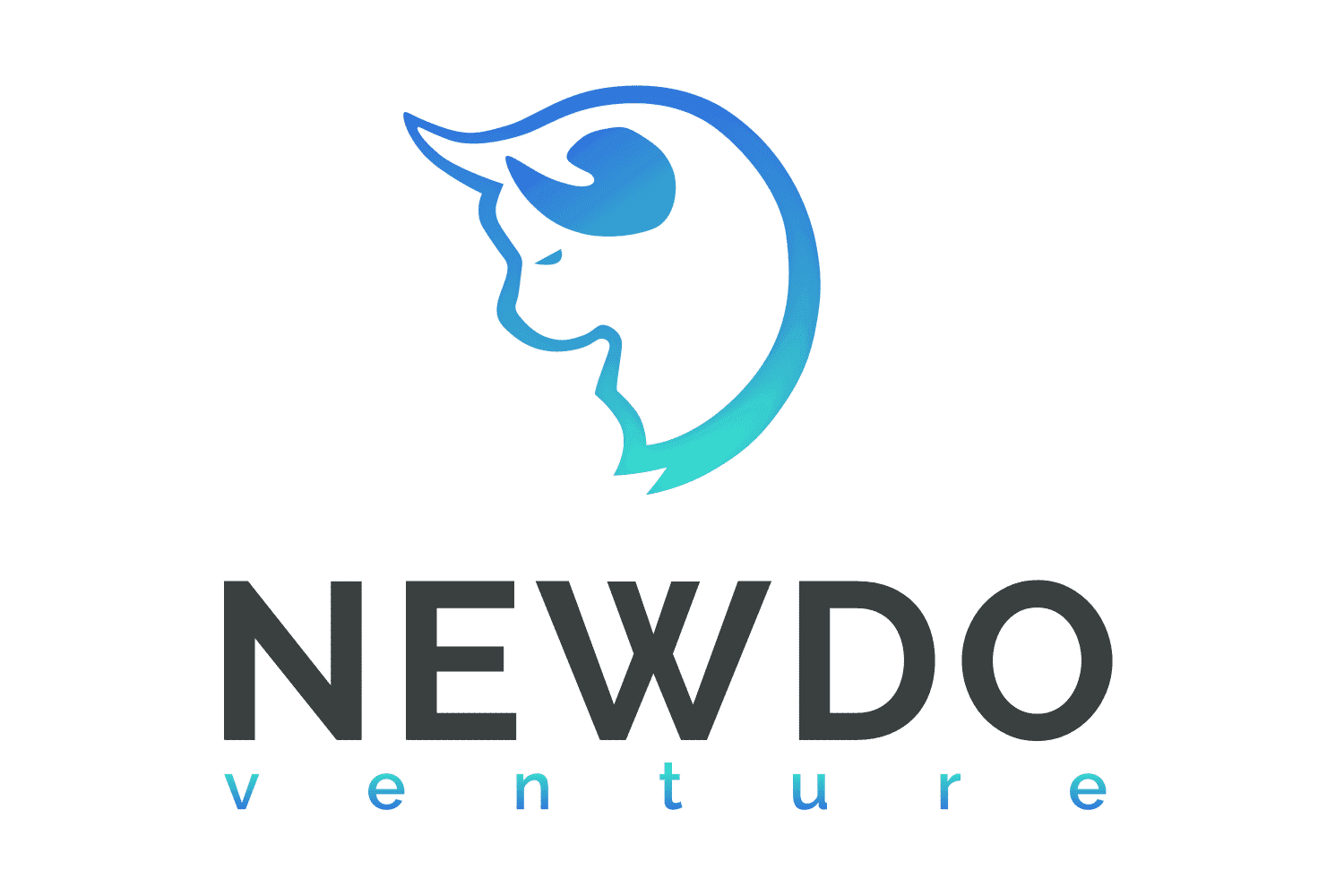 NewDo Venture logo