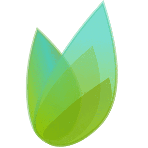 SpringTime Ventures logo