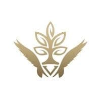 Valkyrie Ventures Group logo