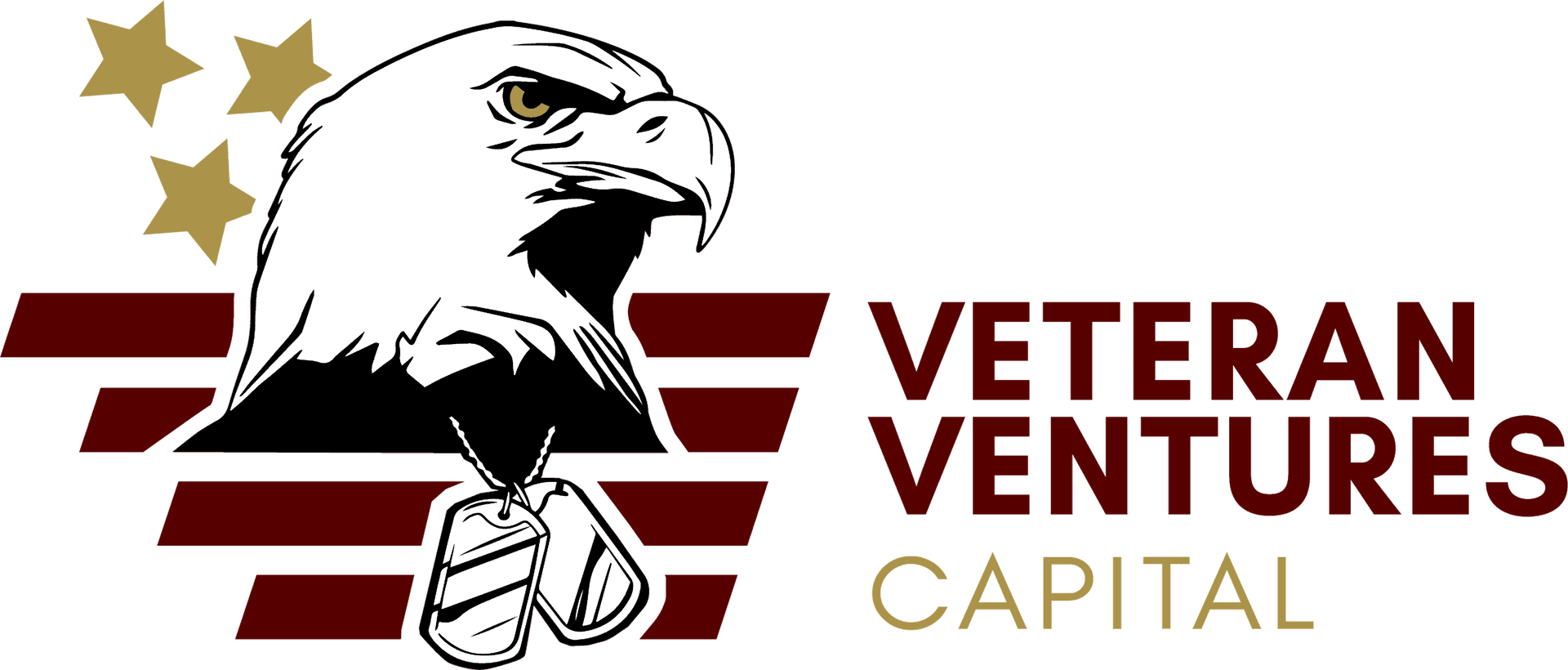 Veteran Ventures Capital logo