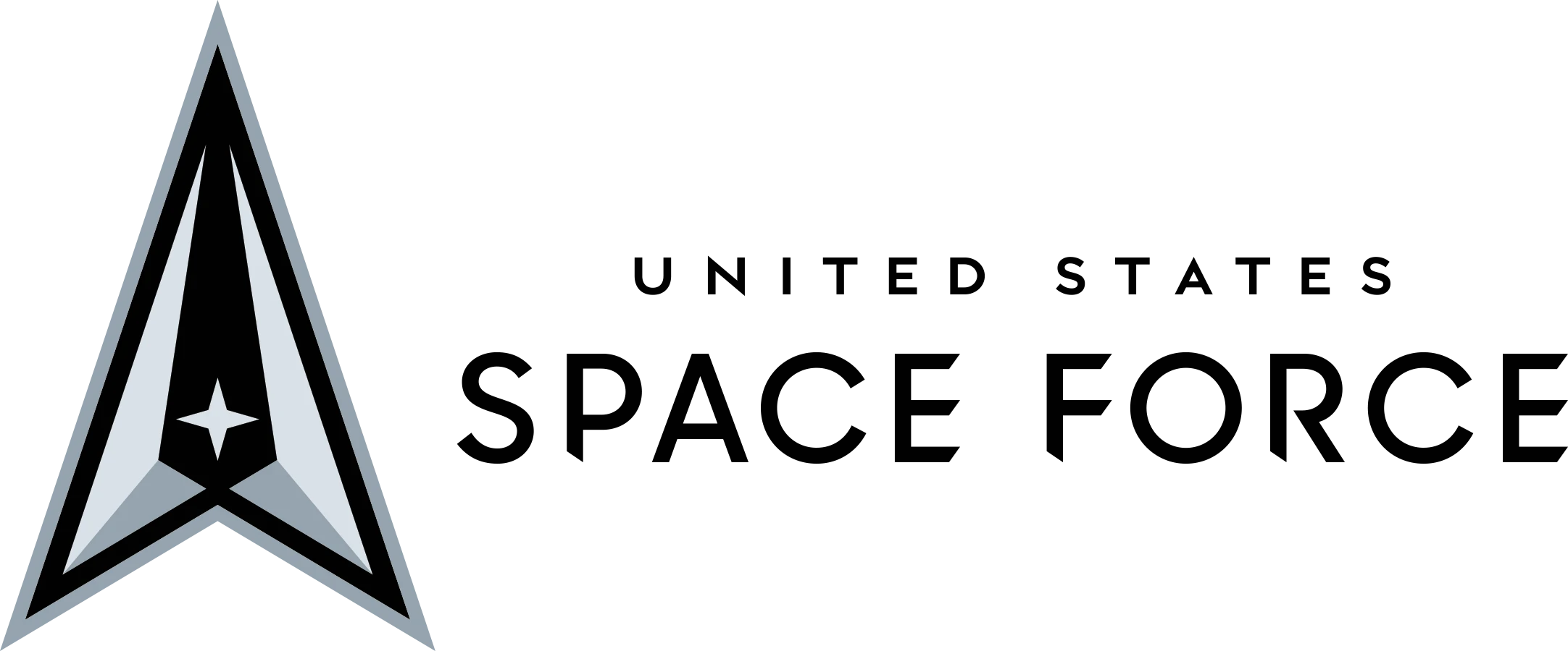 United States Space Force logo